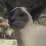 Sandman – A Dream of a Thousand Cats 04